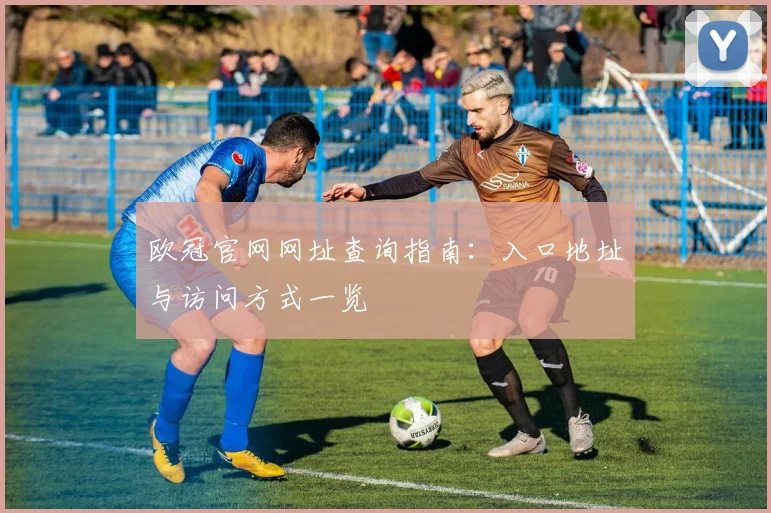欧冠官网网址查询指南：入口地址与访问方式一览