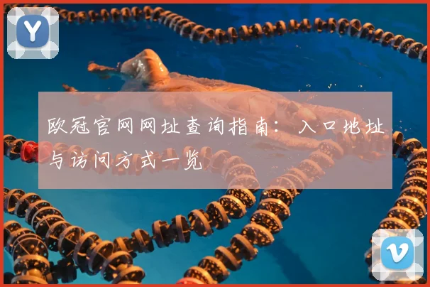 欧冠官网网址查询指南:入口地址与访问方式一览