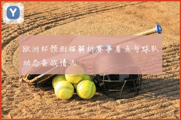 欧洲杯预测猫解析赛事看点与球队动态备战情况