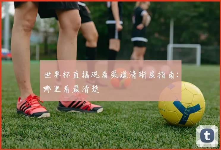 世界杯直播观看渠道清晰度指南:哪里看最清楚