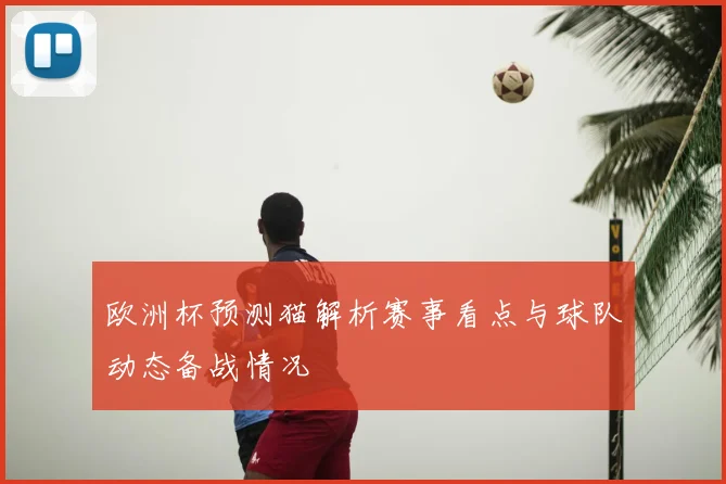 欧洲杯预测猫解析赛事看点与球队动态备战情况
